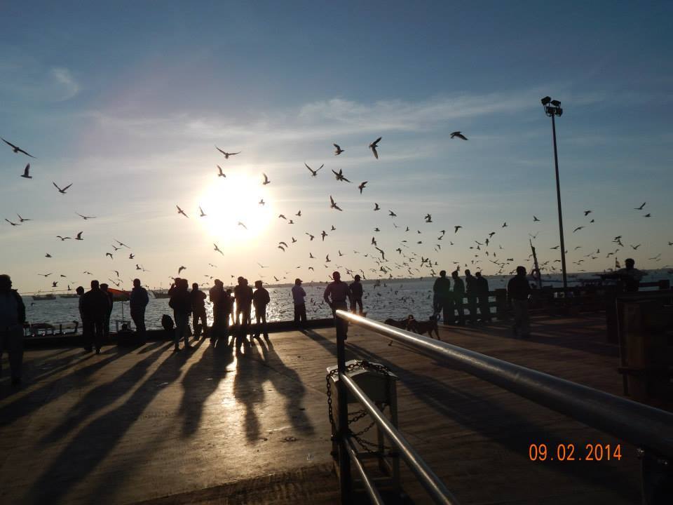 Photo of by Preeti Singh