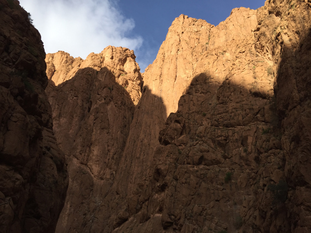 Photo of A Solo Female's Journey from Casablanca to Marrakech 8/9 by Paige Newberry