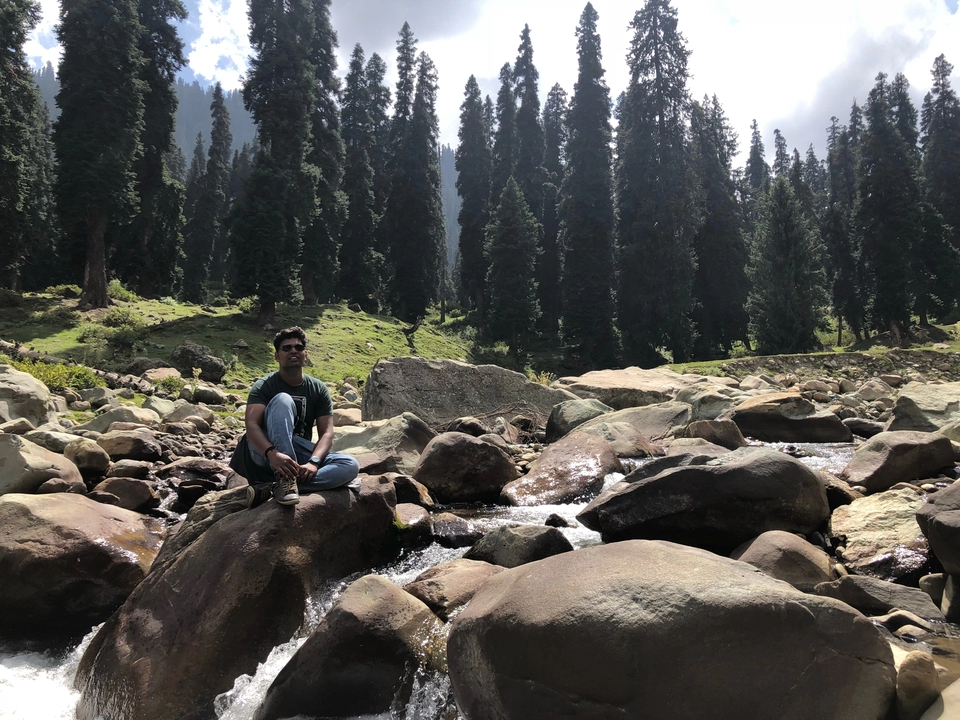 Photo of Bota Pathri, Forest Block by Tanya