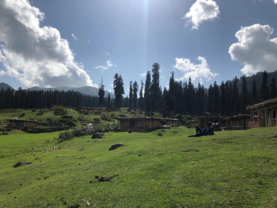 Photo of Bota Pathri, Forest Block by Tanya