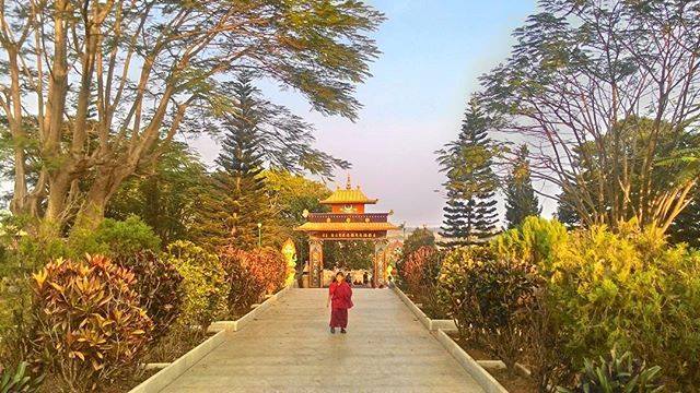 Photo of Bylakuppe – The Little Tibet Of South India 34/52 by Tulika Verma