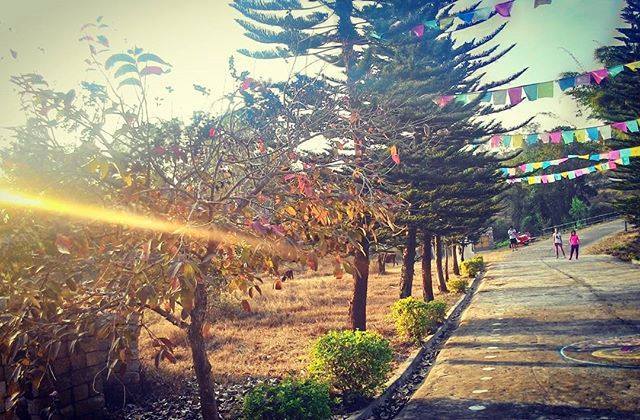 Photo of Bylakuppe – The Little Tibet Of South India 28/52 by Tulika Verma