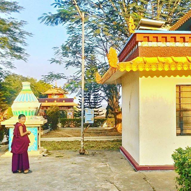 Photo of Bylakuppe – The Little Tibet Of South India 33/52 by Tulika Verma