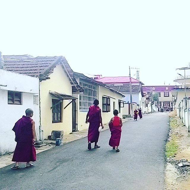 Photo of Bylakuppe – The Little Tibet Of South India 14/52 by Tulika Verma