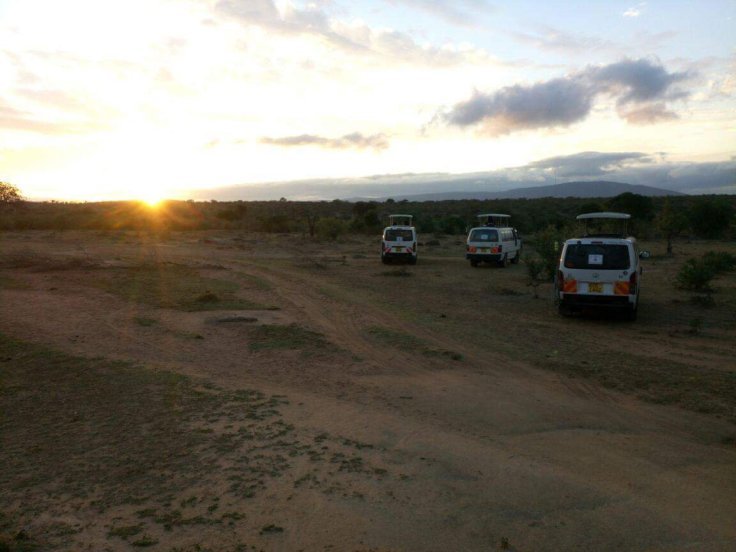 Photo of African Safaris Tours | African Habitat Safari Holidays 9/27 by African Habitat Safaris