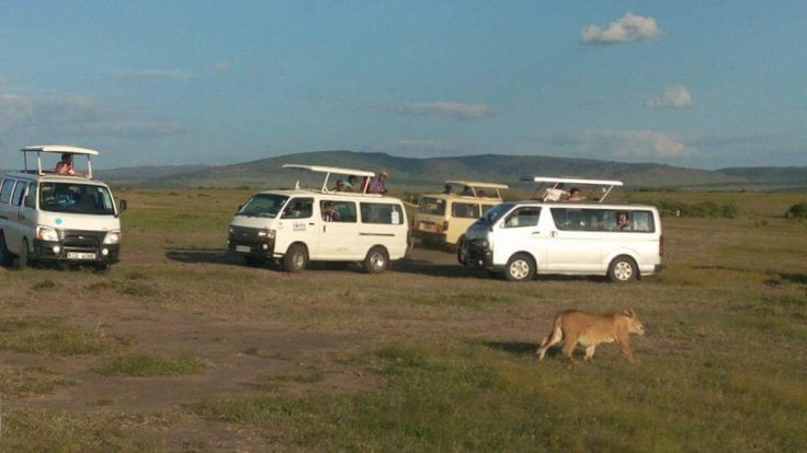Photo of African Safaris Tours | African Habitat Safari Holidays 15/27 by African Habitat Safaris