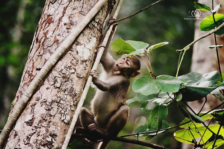 Photo of Great Escape by Santhosham