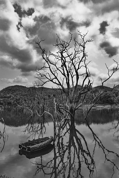 Photo of Great Escape by Santhosham