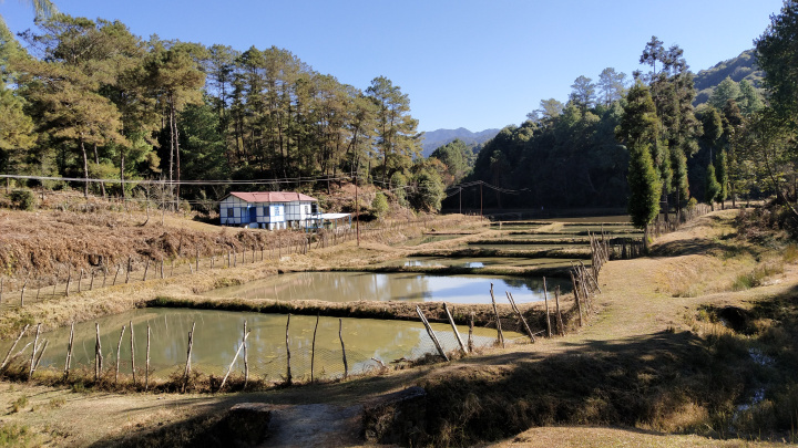 Photo of Route to taste | Ziro - Majuli - Kaziranga National Park 1/10 by Vidyashree Wiz Sirius