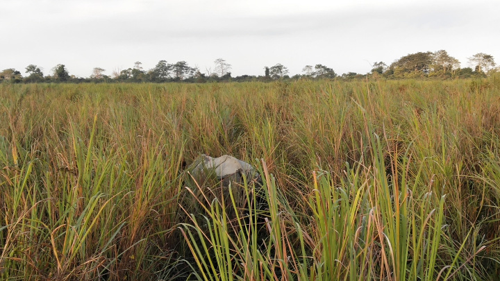 Photo of Route to taste | Ziro - Majuli - Kaziranga National Park 7/10 by Vidyashree Wiz Sirius