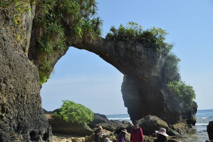 Photo of Neil Island, South Andaman, Andaman and Nicobar Islands, India by Shweta Shah