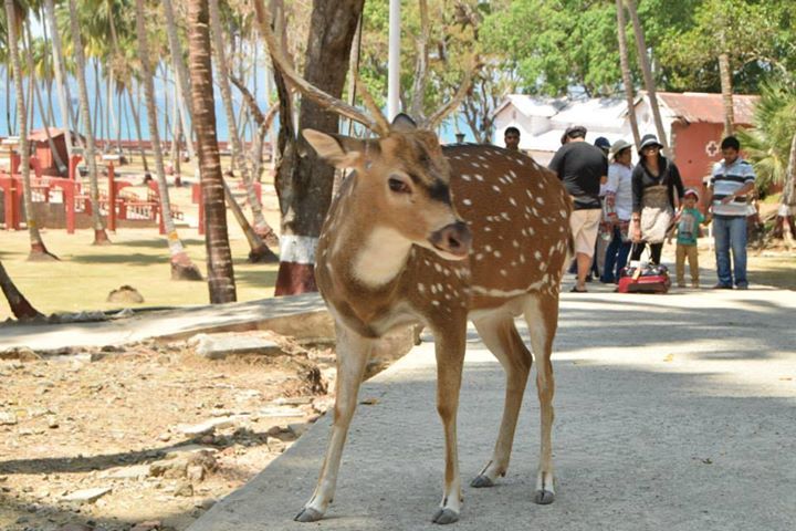 Photo of Ross Island by Shweta Shah