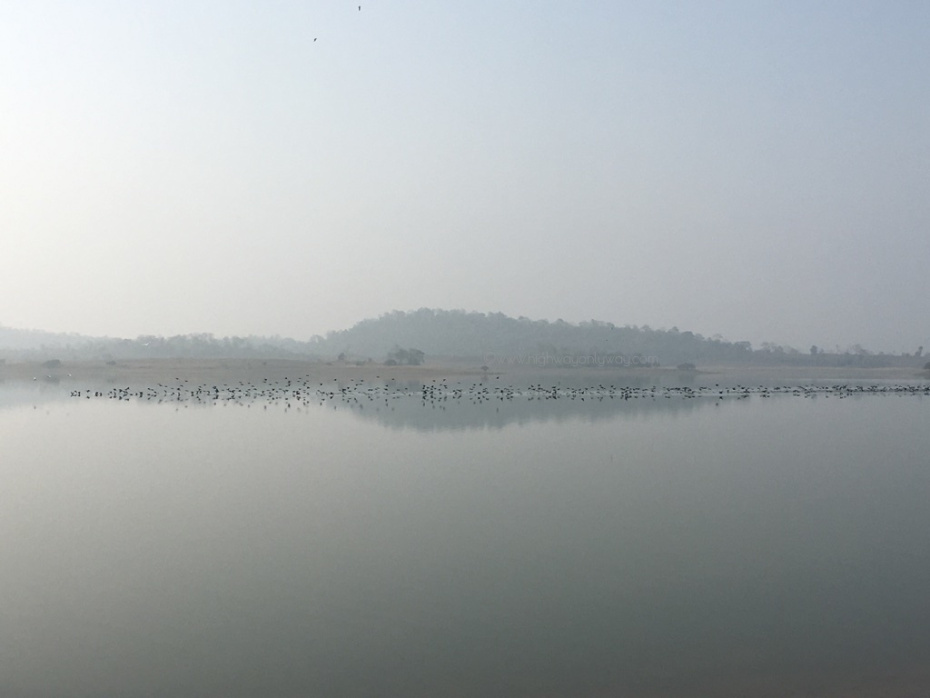 Photo of Road trip to Telangana heartland - II - Laknavaram Lake Resort 22/27 by Kalyan Konduri