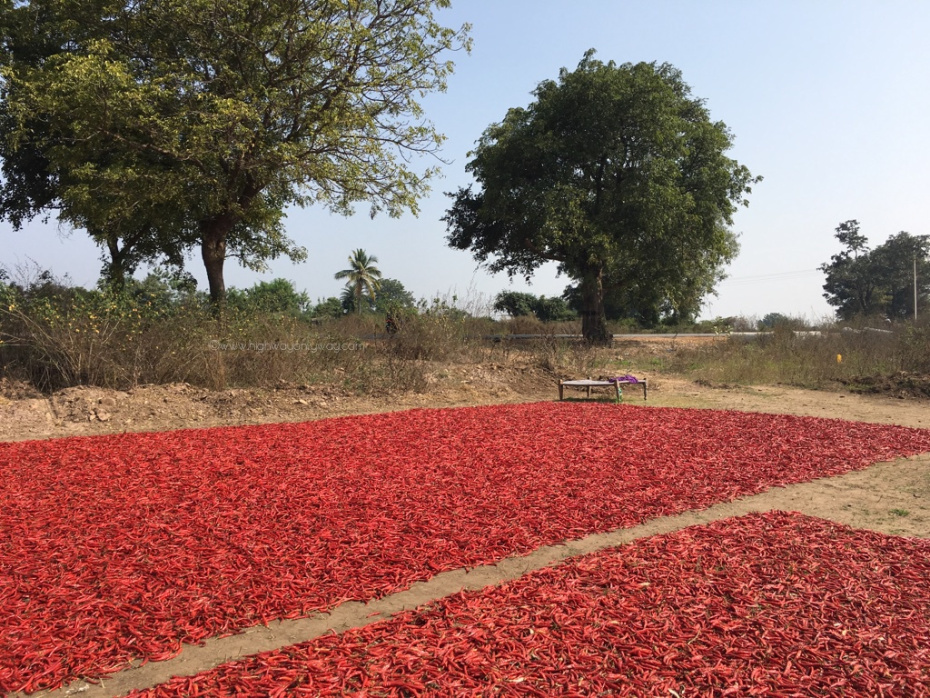 Photo of Road trip to Telangana heartland - II - Laknavaram Lake Resort 27/27 by Kalyan Konduri