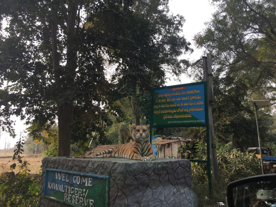 Photo of Road trip to Telangana heartland - I - Jannaram Haritha Resort 4/16 by Kalyan Konduri