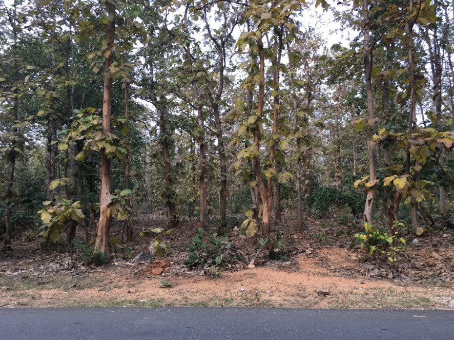 Photo of Road trip to Telangana heartland - I - Jannaram Haritha Resort 7/16 by Kalyan Konduri