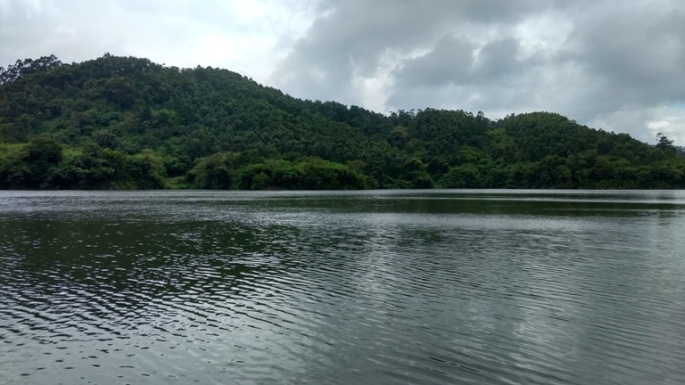 Photo of Kerala Diaries - A Trip To Munnar 2/4 by Pallavi Kumari