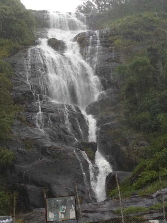 Photo of Kerala Diaries - A Trip To Munnar 3/4 by Pallavi Kumari