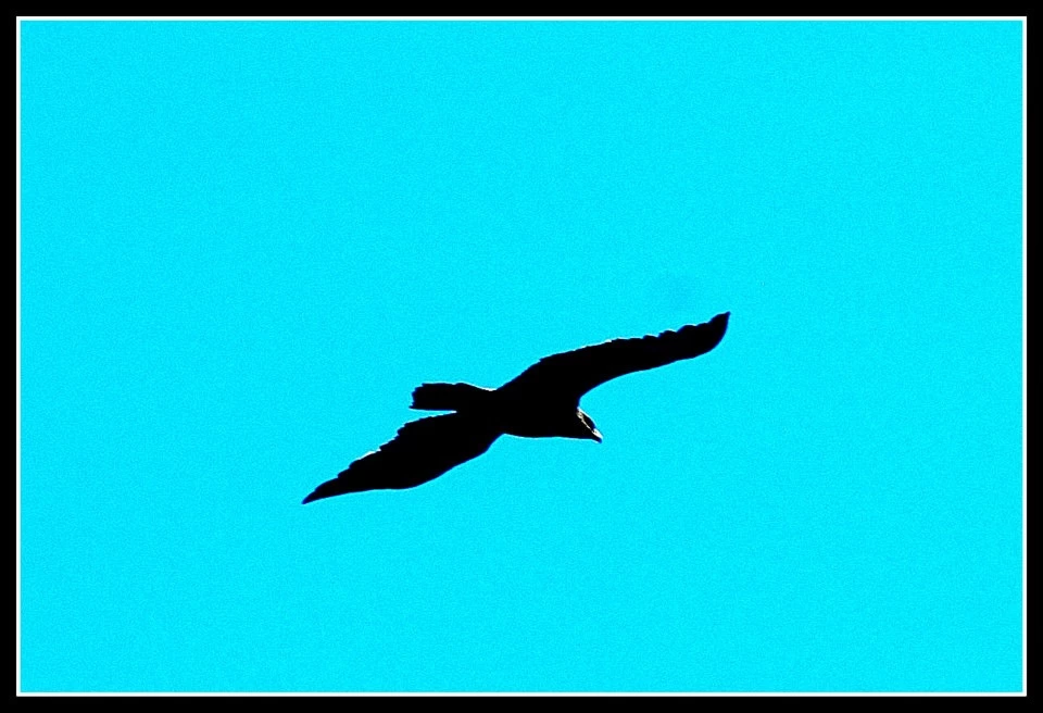 Photo of Lansdowne by Arvind YV