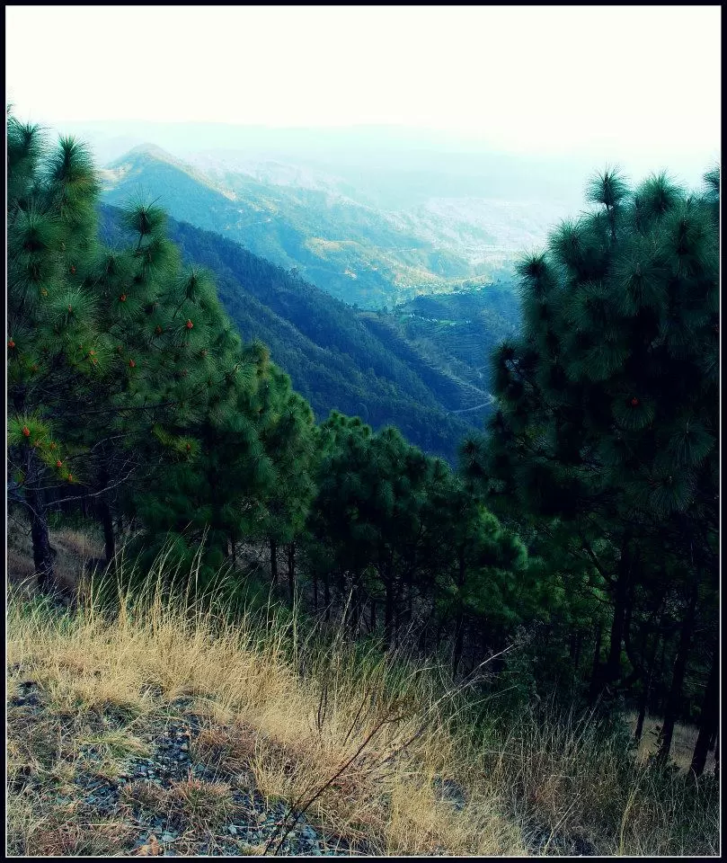 Photo of Lansdowne by Arvind YV