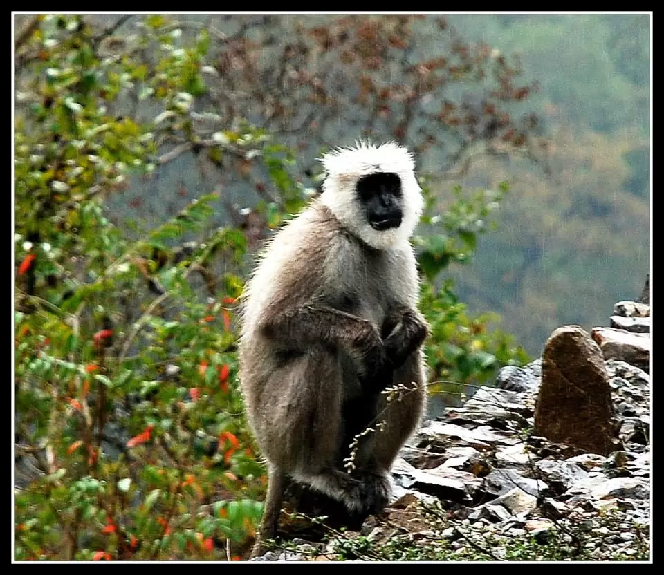 Photo of Lansdowne by Arvind YV