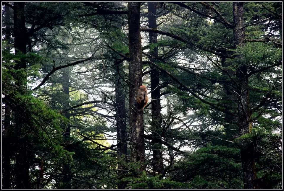 Photo of Lansdowne by Arvind YV