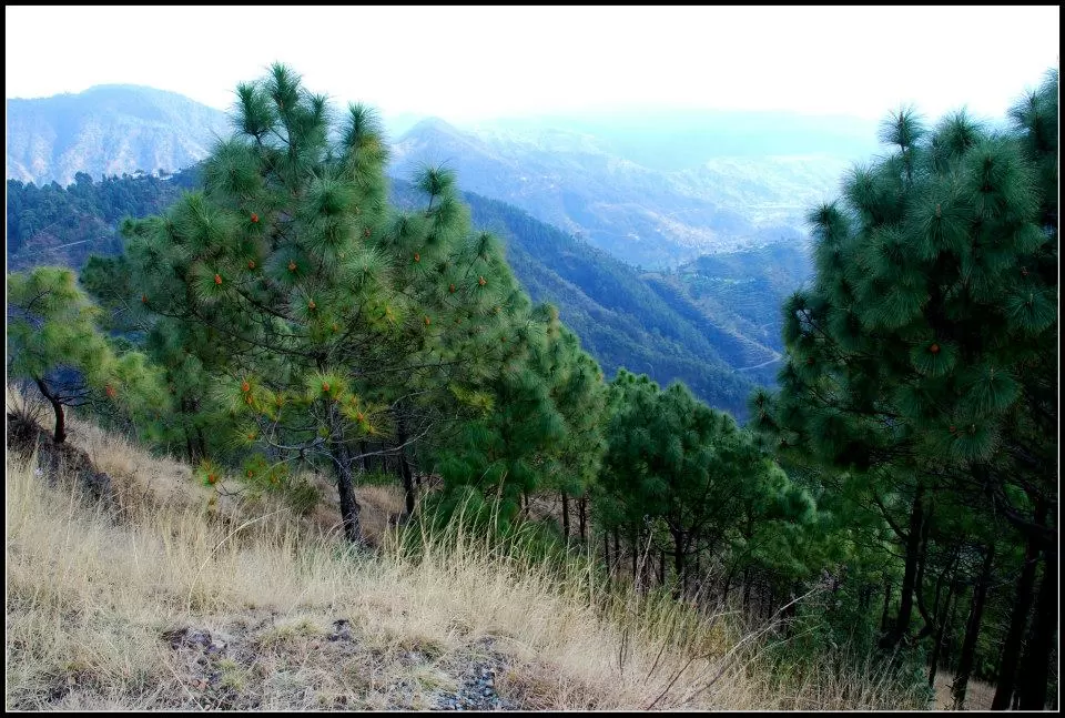 Photo of Lansdowne by Arvind YV