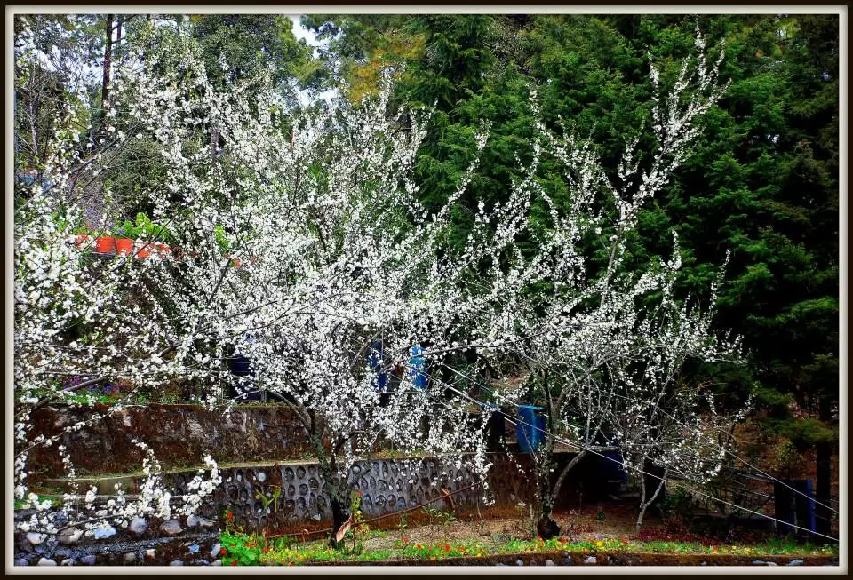 Photo of Lansdowne by Arvind YV