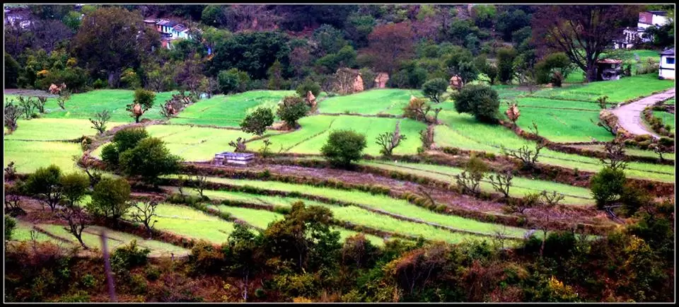 Photo of Lansdowne by Arvind YV