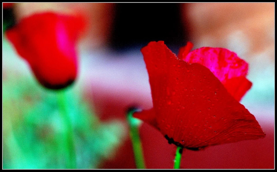 Photo of Lansdowne by Arvind YV