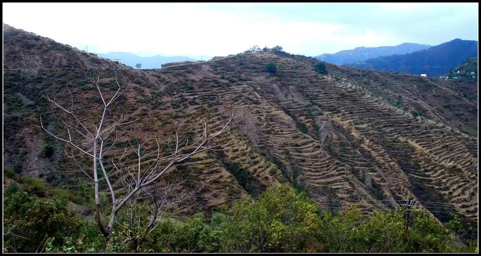 Photo of Lansdowne by Arvind YV