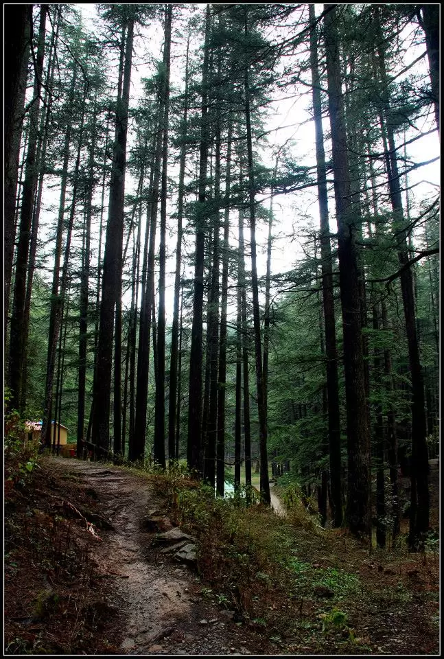 Photo of Lansdowne by Arvind YV