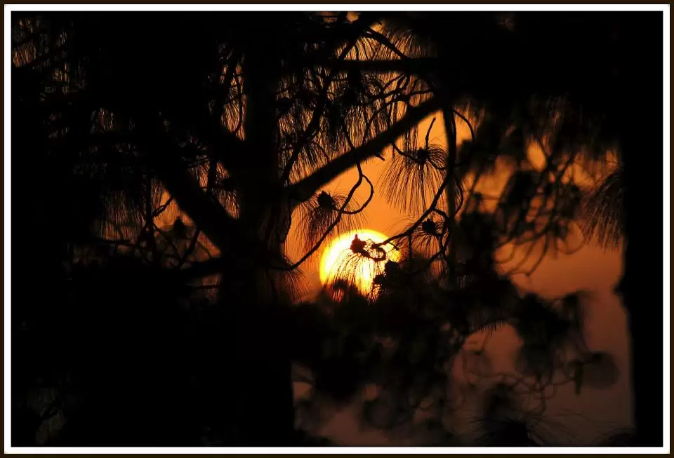 Photo of Lansdowne by Arvind YV