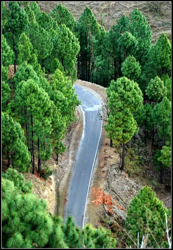 Photo of Lansdowne by Arvind YV