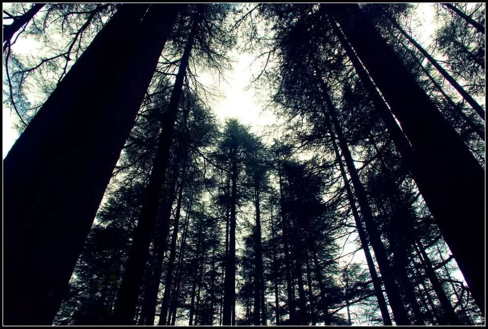 Photo of Lansdowne by Arvind YV