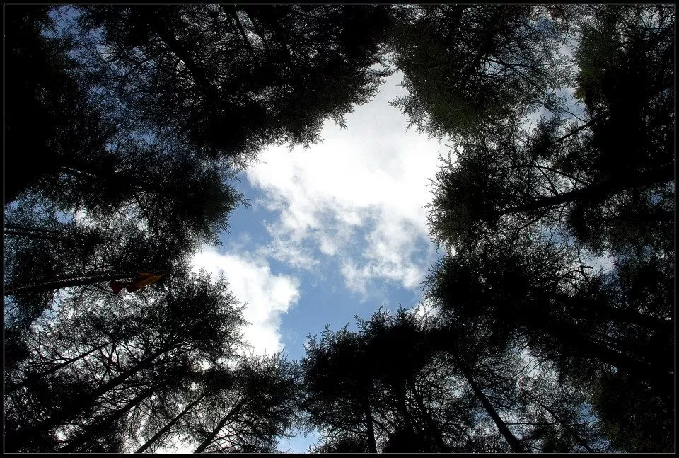 Photo of Lansdowne by Arvind YV