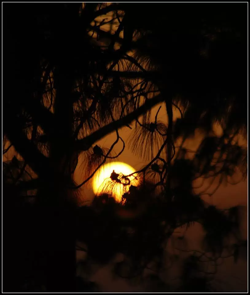 Photo of Lansdowne by Arvind YV