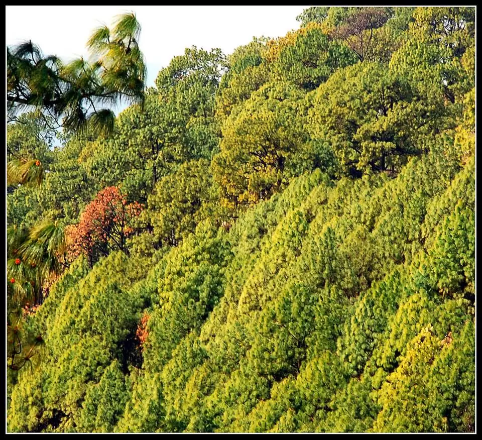 Photo of Lansdowne by Arvind YV