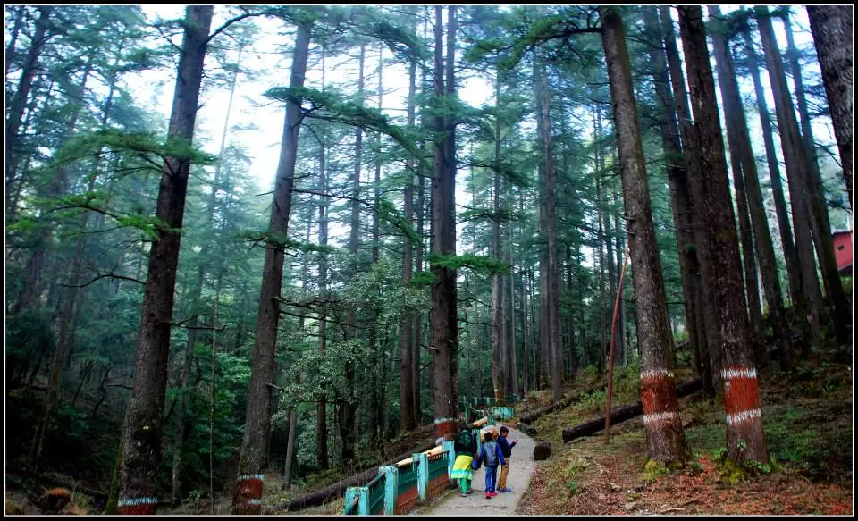 Photo of Lansdowne by Arvind YV