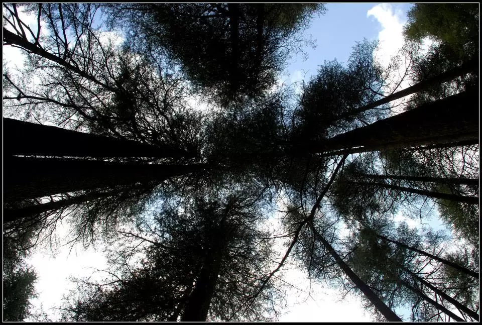 Photo of Lansdowne by Arvind YV