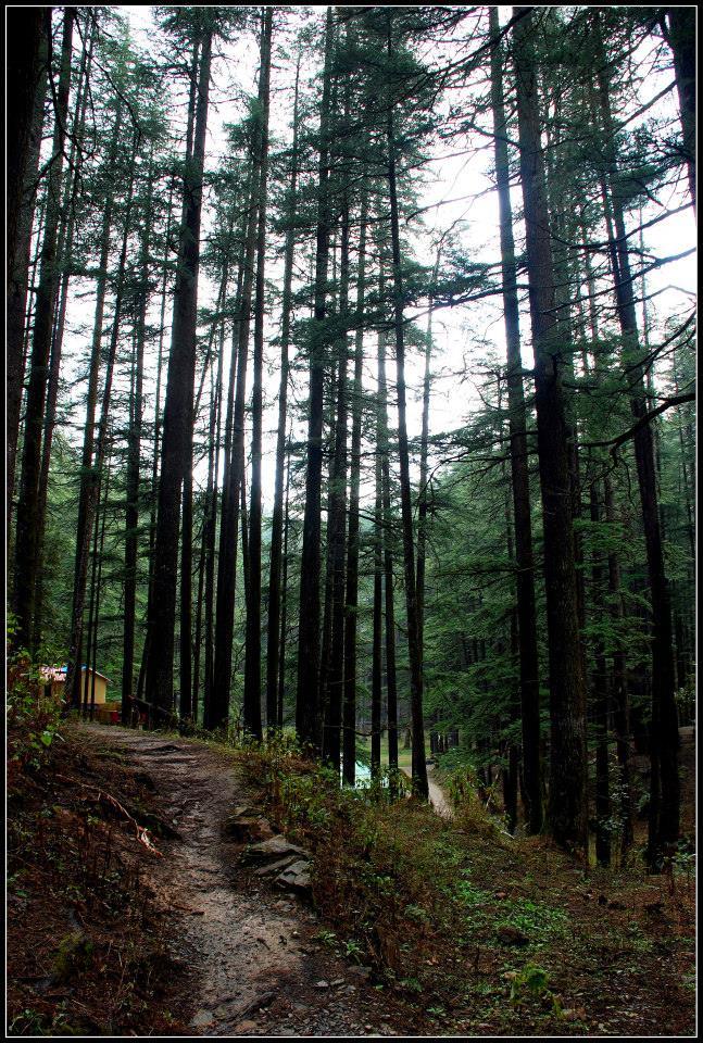 Photo of Lansdowne 42/99 by Arvind YV