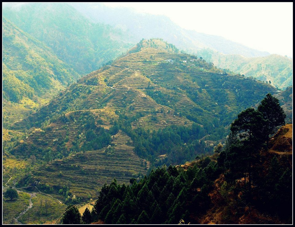 Photo of Lansdowne 36/99 by Arvind YV