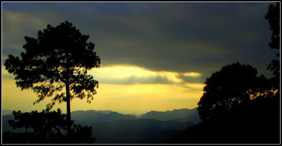Photo of Lansdowne 15/99 by Arvind YV