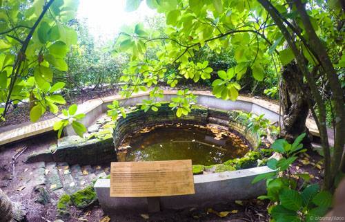 Photo of Maldives: a small huge paradise 55/90 by Aian Mejillano