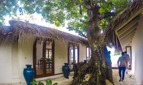 Photo of Maldives: a small huge paradise 65/90 by Aian Mejillano