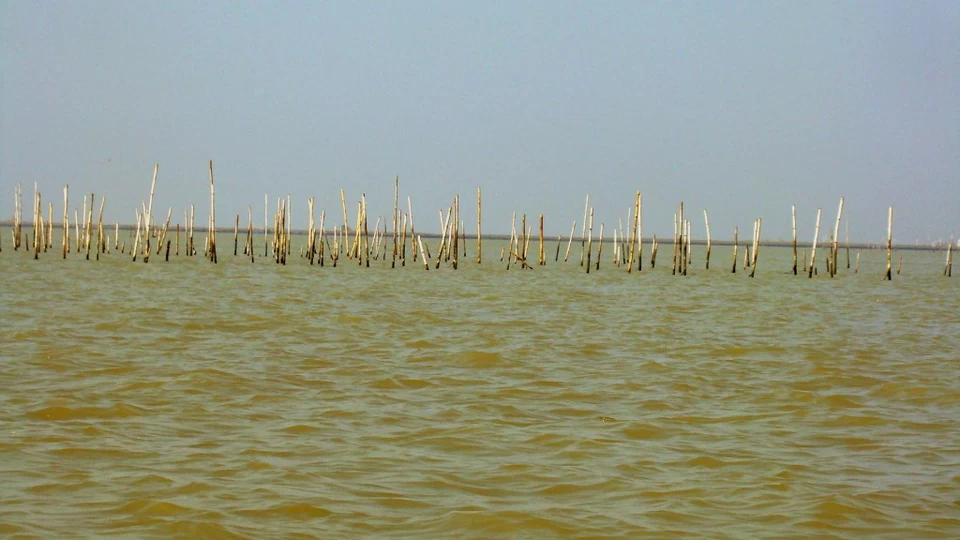 Photo of Chilika Lake, Odisha, India by Ayandrali Dutta