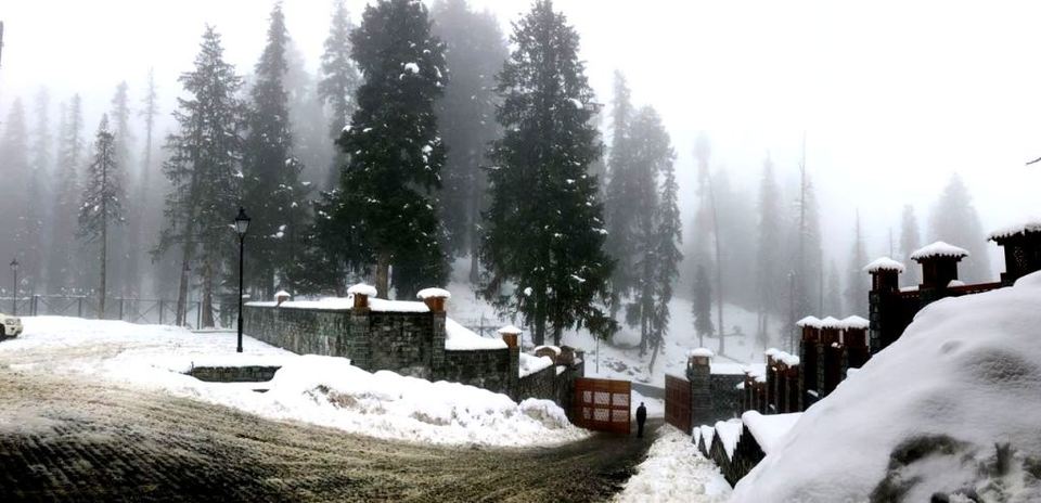 Photo of Snow-Covered Gulmarg In Photos 5/9 by Ayandrali Dutta