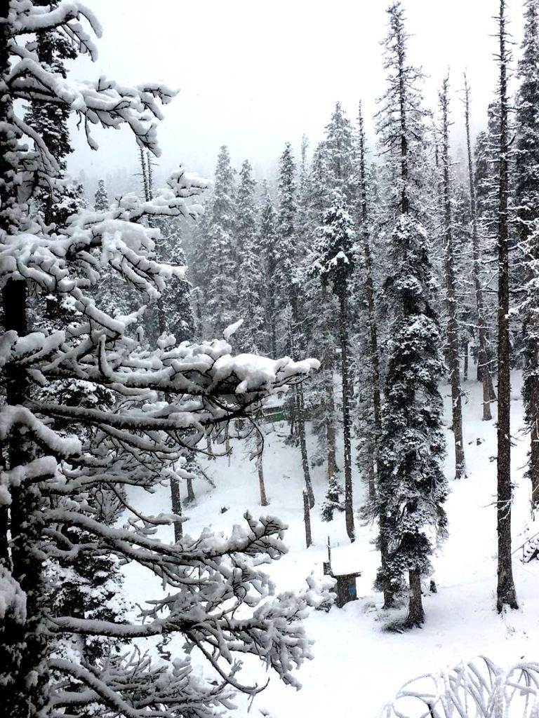 Photo of Snow-Covered Gulmarg In Photos 9/9 by Ayandrali Dutta