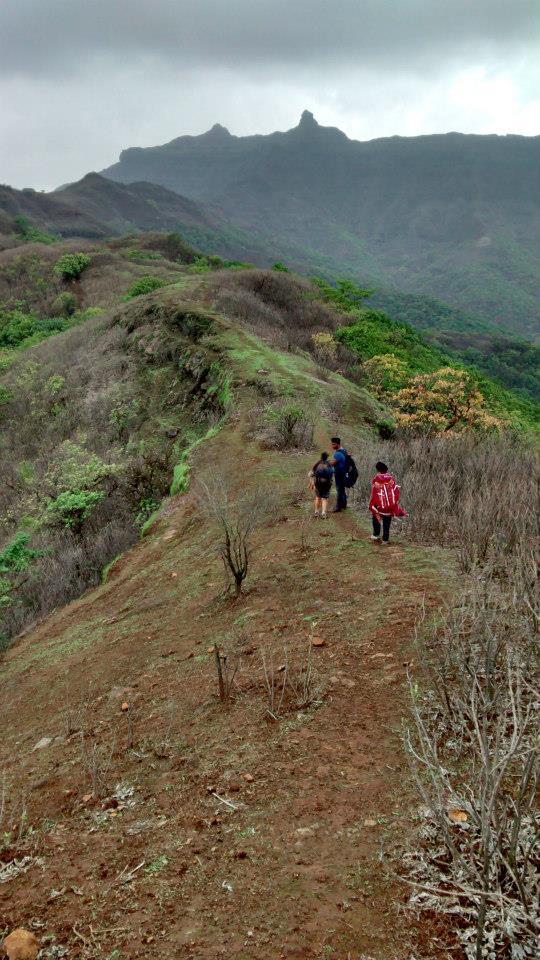 Photo of Rajgad to Torna; A Journey in the History 9/16 by Rini Biswas