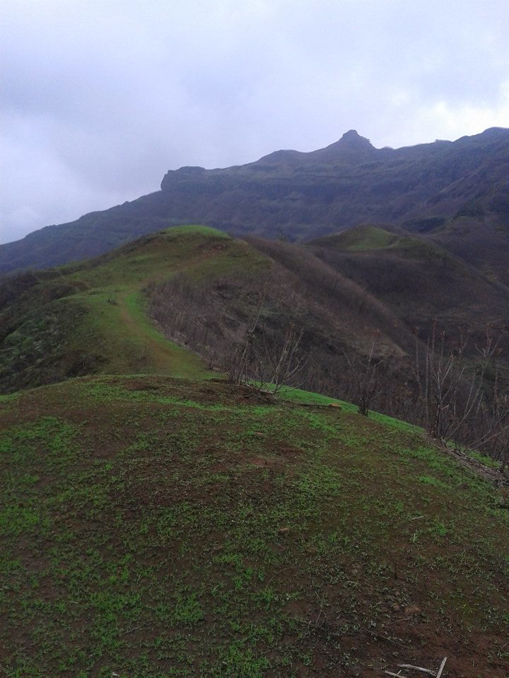 Photo of Rajgad to Torna; A Journey in the History 8/16 by Rini Biswas